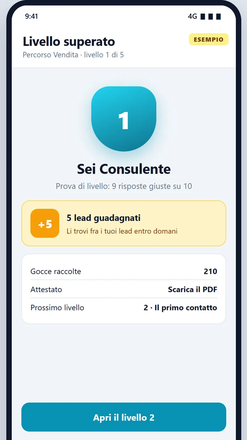 Il livello superato nell’Academy, con l’etichetta «Esempio»